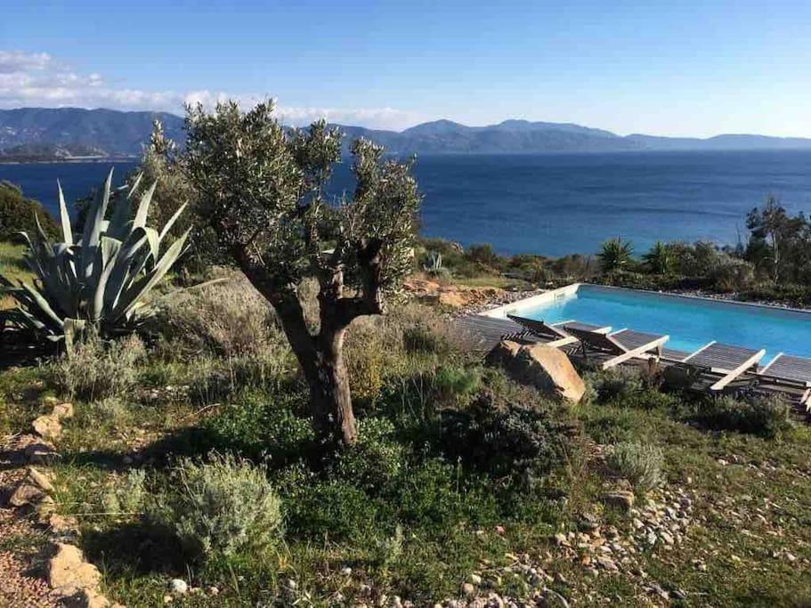 Casa Turrigiani Sagone (Corsica) Exterior foto