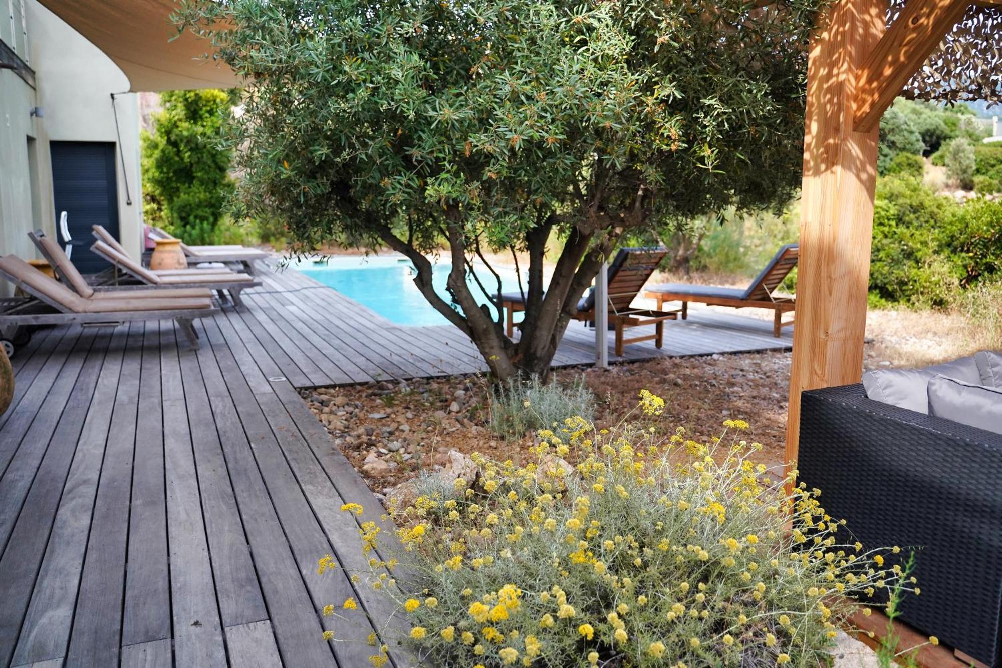 Casa Turrigiani Sagone (Corsica) Exterior foto