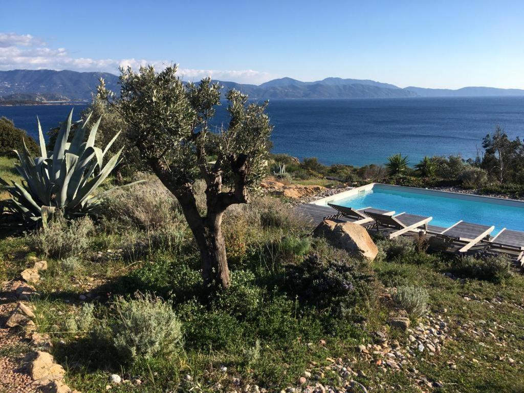 Casa Turrigiani Sagone (Corsica) Exterior foto