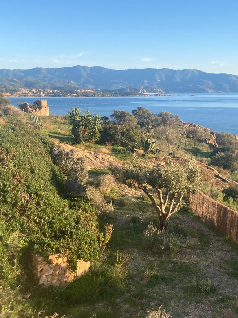 Casa Turrigiani Sagone (Corsica) Exterior foto