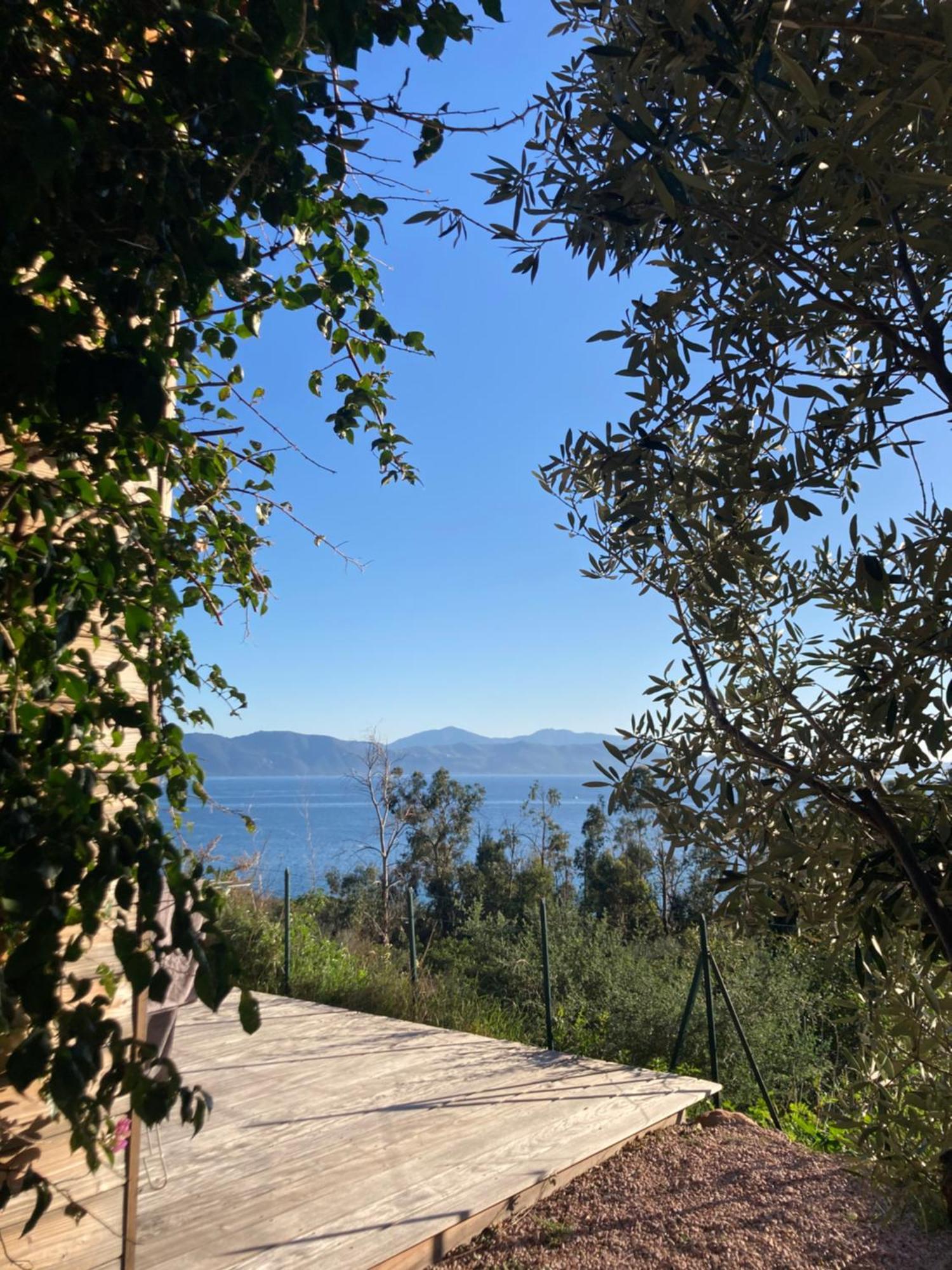 Casa Turrigiani Sagone (Corsica) Exterior foto