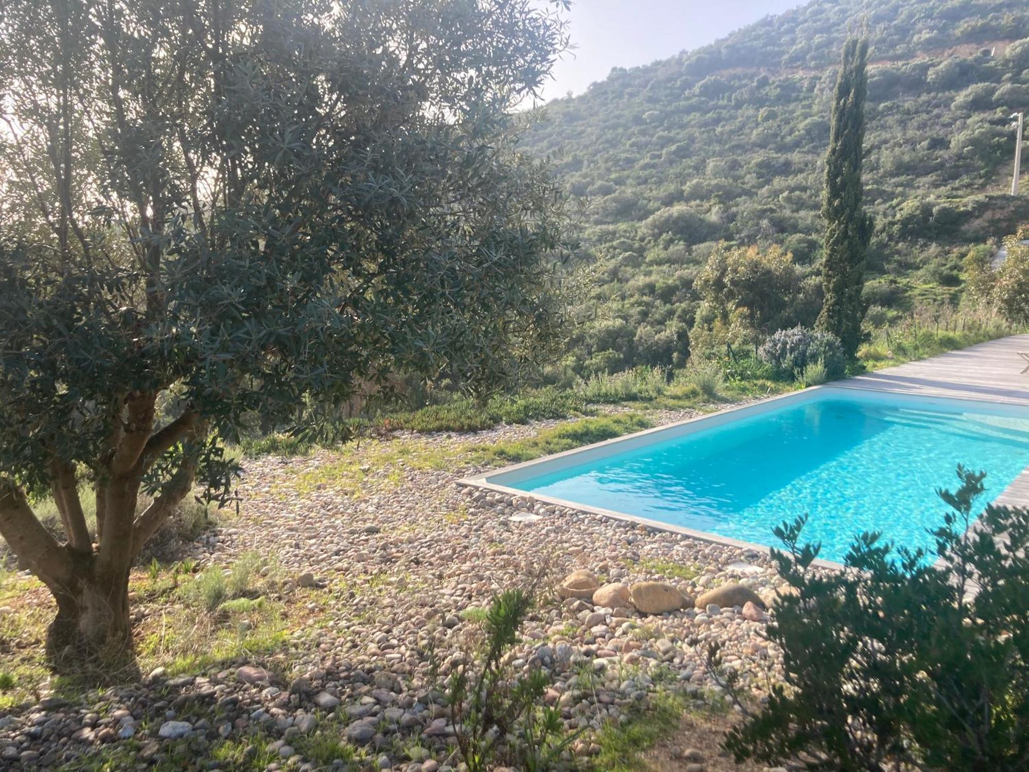 Casa Turrigiani Sagone (Corsica) Exterior foto