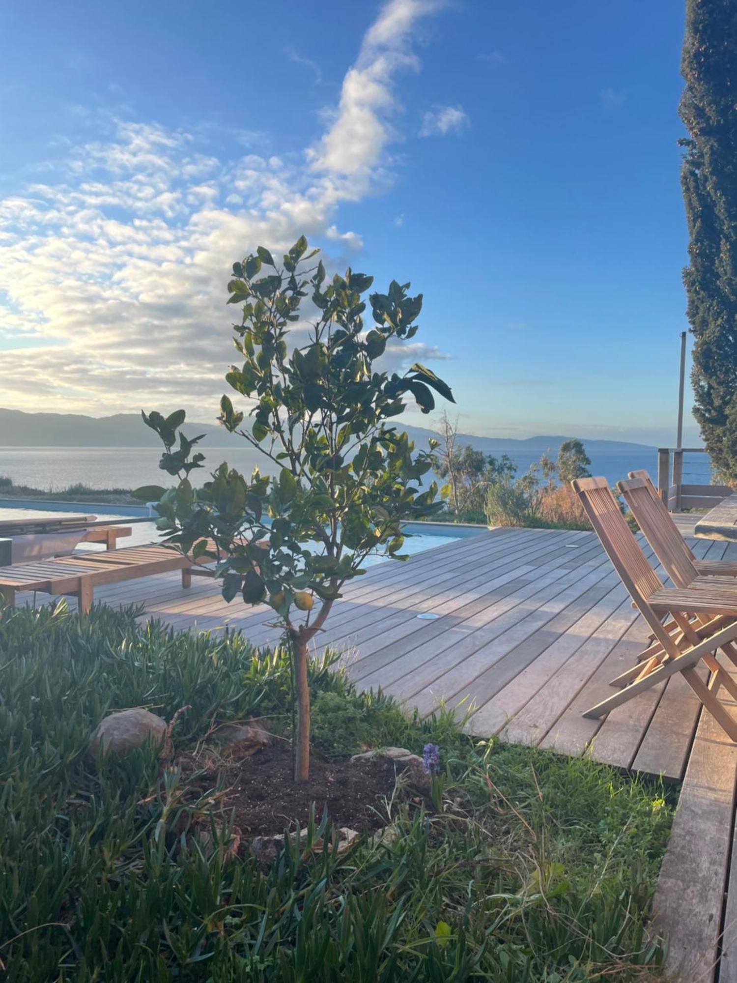 Casa Turrigiani Sagone (Corsica) Exterior foto